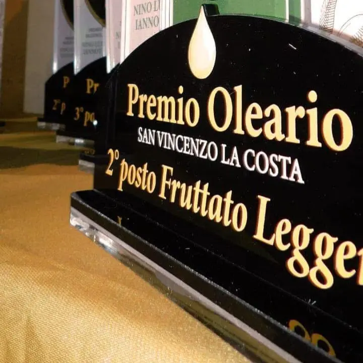 Premio Oleario, San Vincenzo La Costa celebra l’olio tra gusto e cultura\n