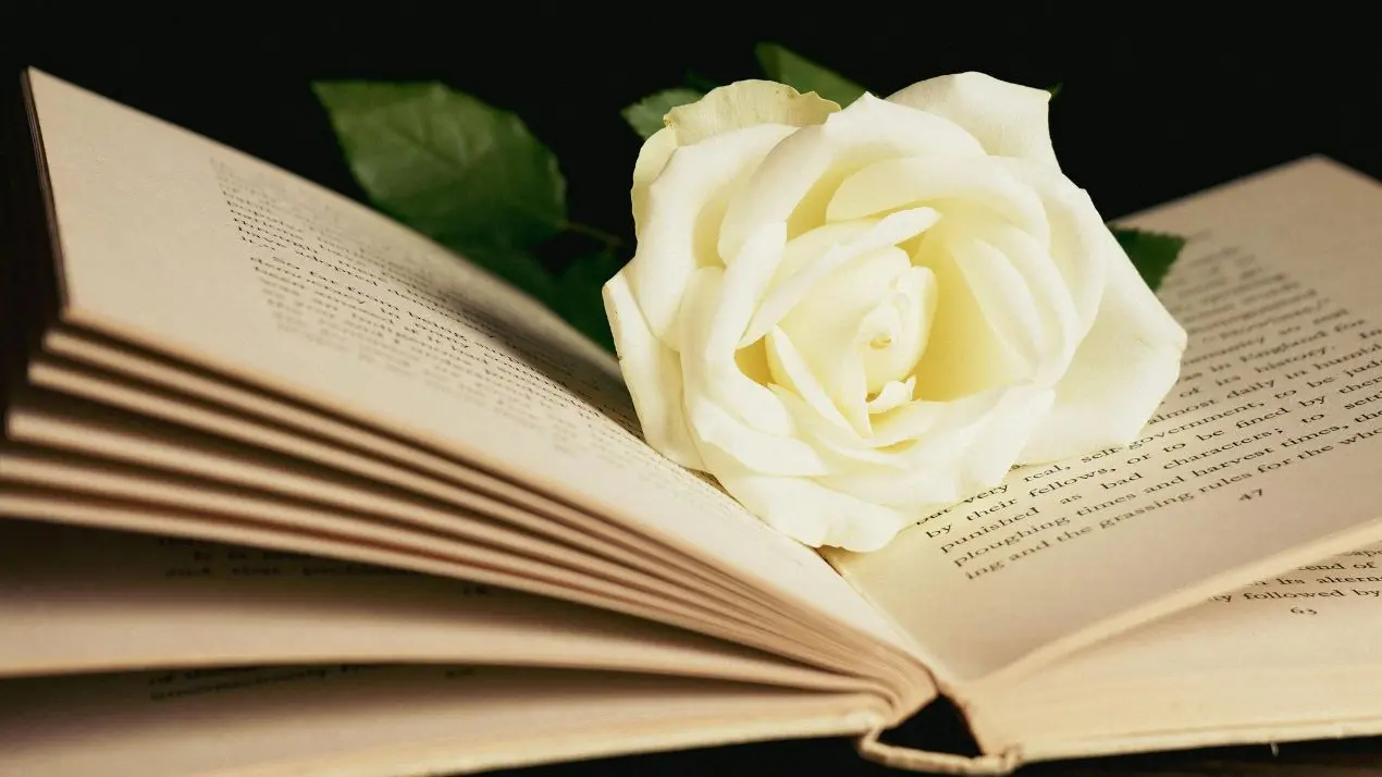 Premio Strega 2026,\u00A0la\u00A0silloge “Stelle dissidenti” del poeta reggino Luciano Tribisonda\n