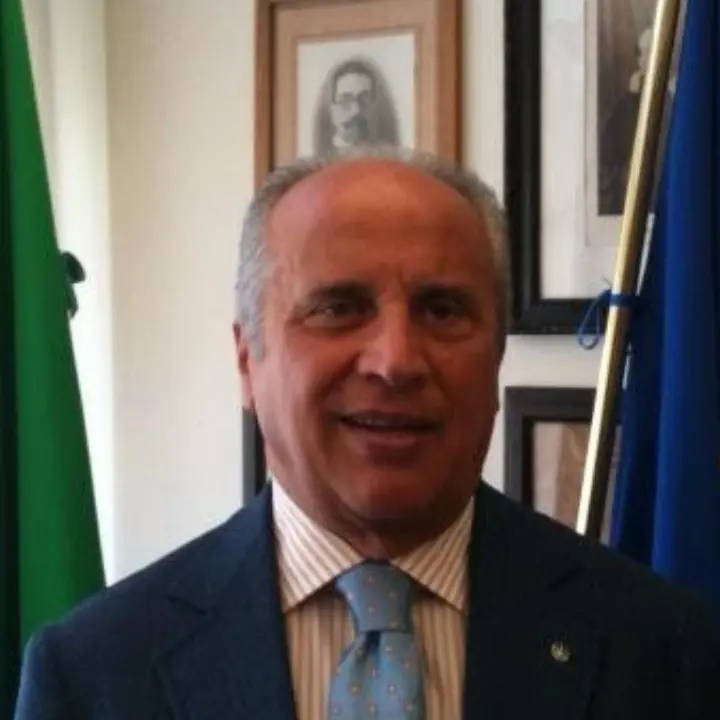 Incandidabilità per 10 anni dopo il dissesto,\u00A0la Corte Costituzionale può cambiare la norma: la sfida di Morcavallo\n