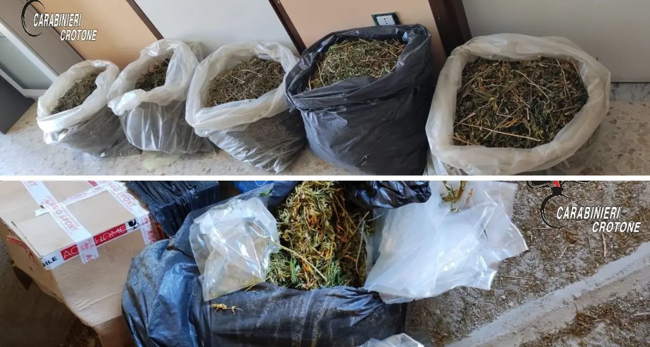 Cirò Marina, blitz dei carabinieri: scoperti 18 chili di marijuana in un’abitazione abbandonata\u00A0\n