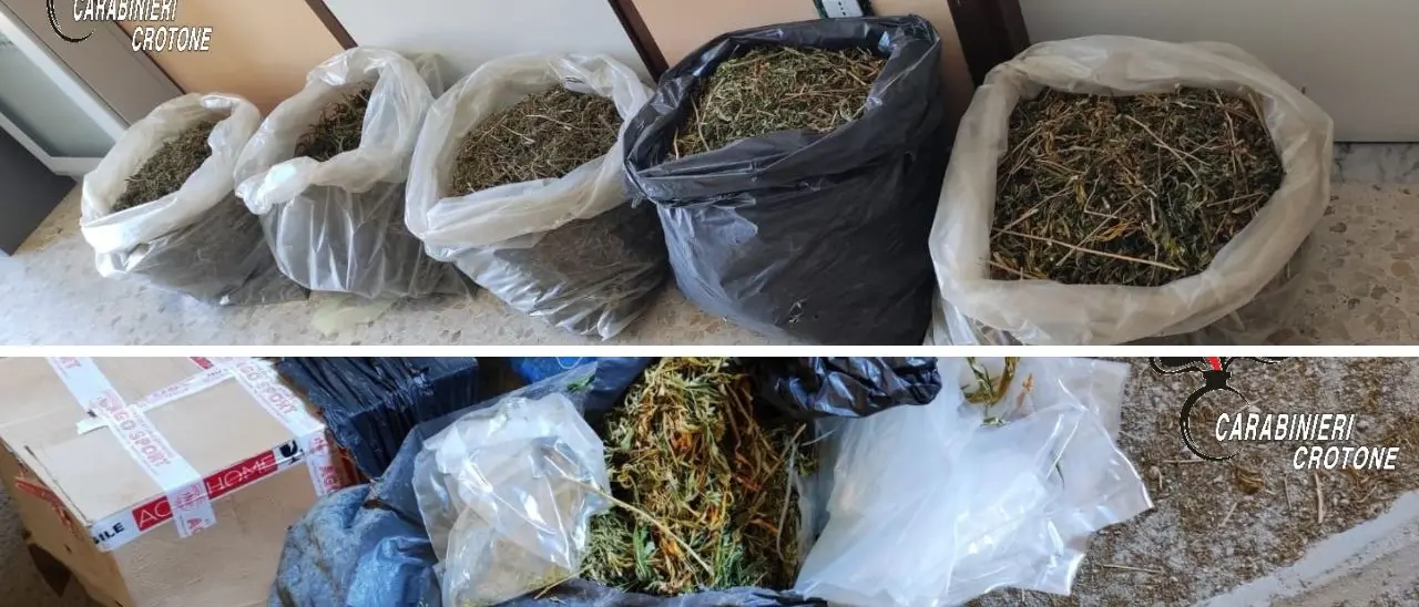 Cirò Marina, blitz dei carabinieri: scoperti 18 chili di marijuana in un’abitazione abbandonata\u00A0\n