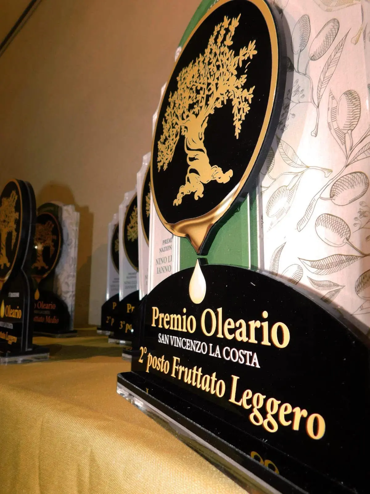 San Vincenzo la Costa, quinta edizione del Premio Oleario\n