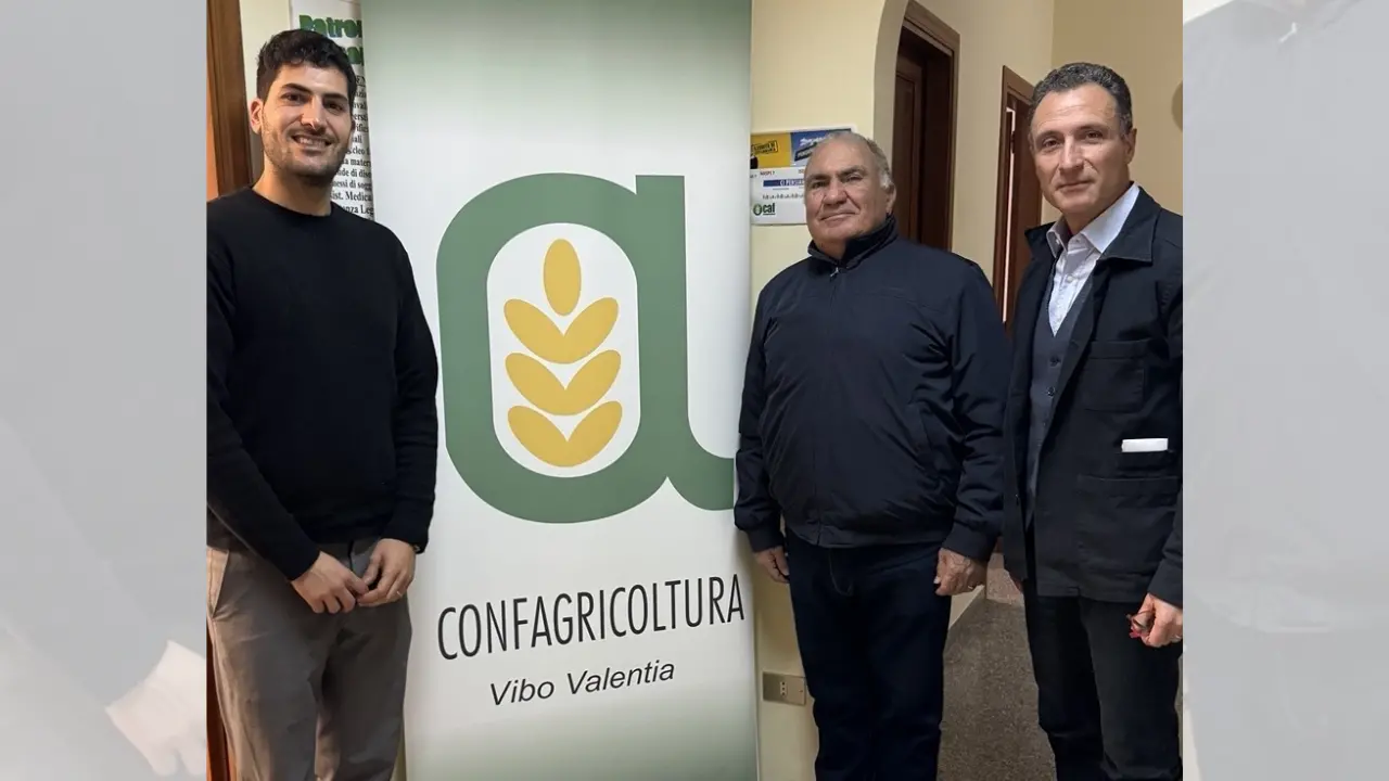 Vibo, accordo tra Confagricoltura ed Euclidist per valorizzare le imprese\u00A0agricole del territorio\n