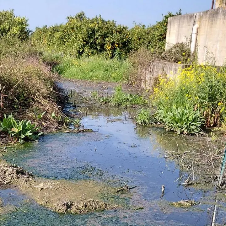 San Calogero, il candidato a sindaco Maccarone: «Depuratori nel degrado, abbandonati a se stessi da anni»\n