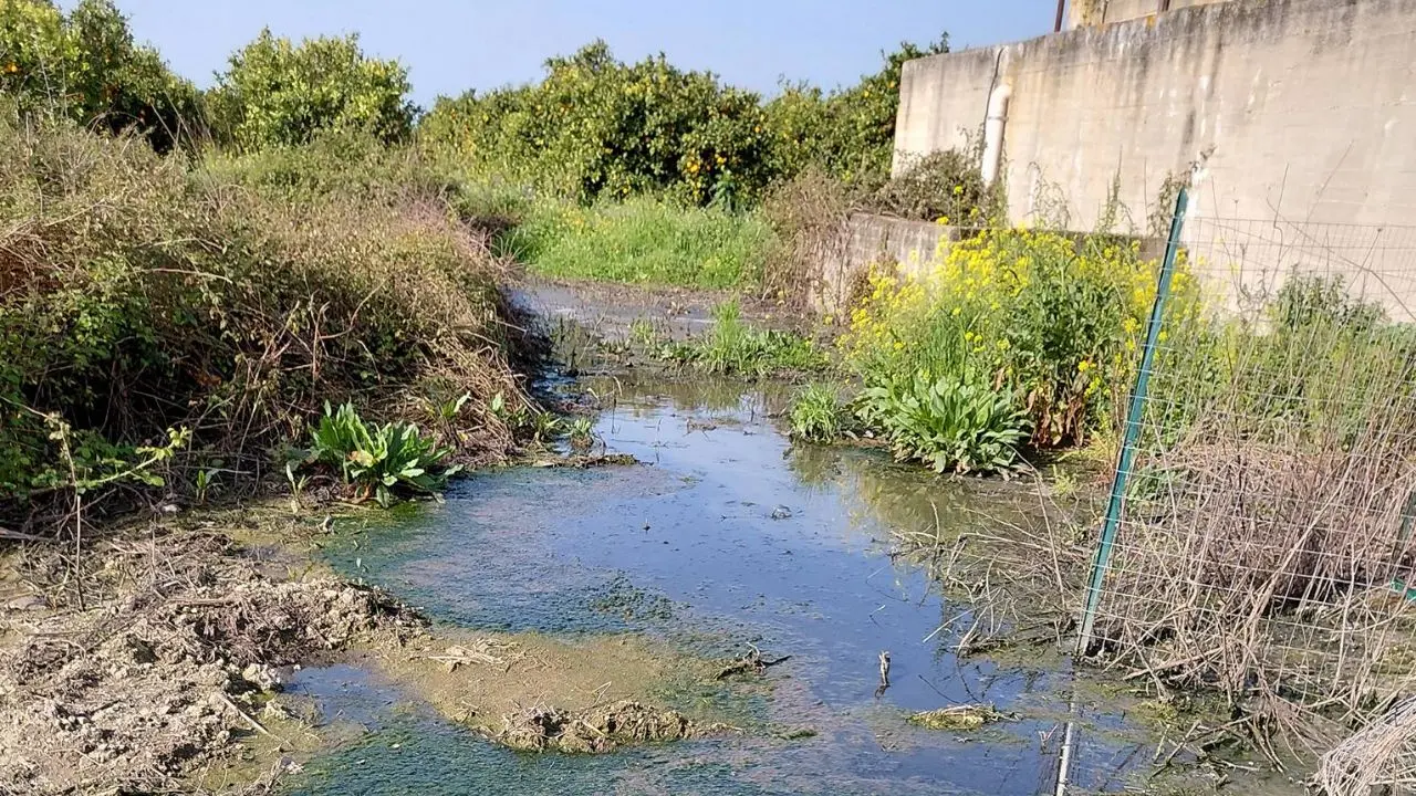 San Calogero, il candidato a sindaco Maccarone: «Depuratori nel degrado, abbandonati a se stessi da anni»\n