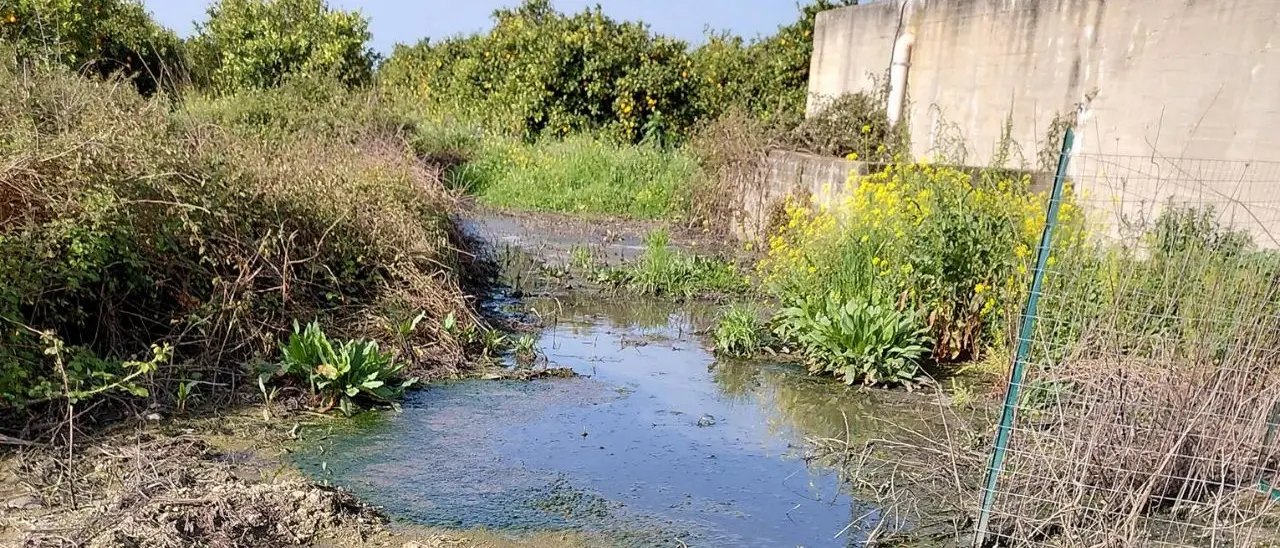 San Calogero, il candidato a sindaco Maccarone: «Depuratori nel degrado, abbandonati a se stessi da anni»\n