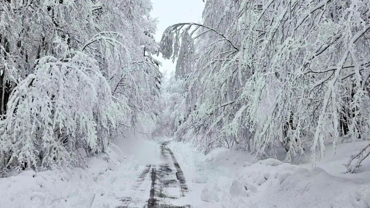 Non solo pioggia, da stasera crollano le temperature e arriva la neve in montagna: le previsioni\n