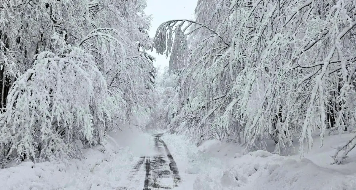 Non solo pioggia, da stasera crollano le temperature e arriva la neve in montagna: le previsioni\n