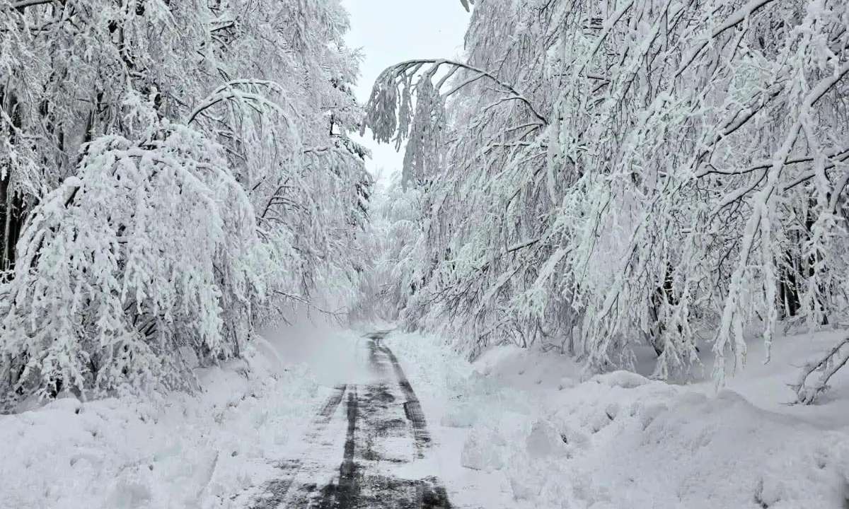 Non solo pioggia, da stasera crollano le temperature e arriva la neve in montagna: le previsioni\n
