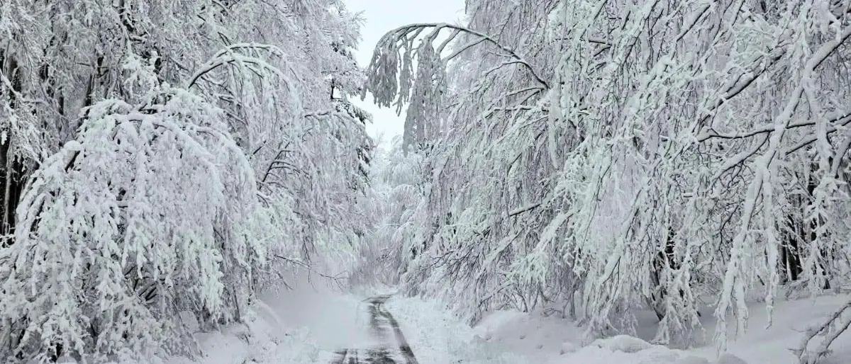 Non solo pioggia, da stasera crollano le temperature e arriva la neve in montagna: le previsioni\n