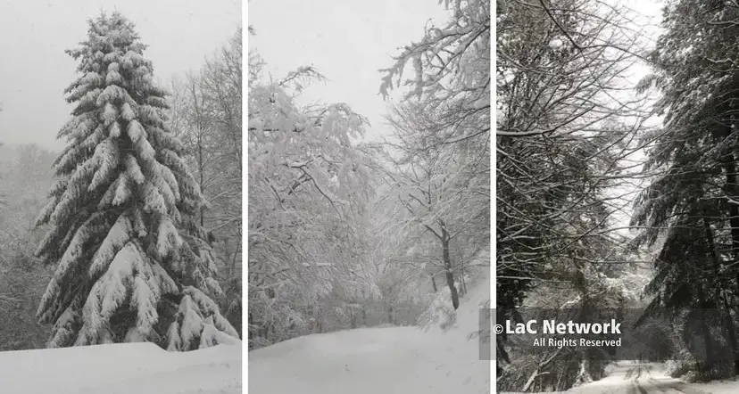 <p>In Calabria l'allerta diventa gialla ma arriva la neve: crollo delle temperature e fiocchi fino a 900 metri</p>