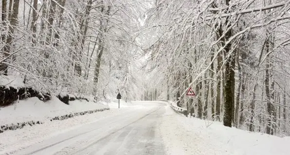 Continua il maltempo\u00A0in Calabria: non solo pioggia, da stasera neve sui monti\n