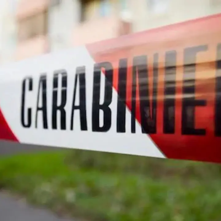 <p>Tragedia a Reggio, 29enne travolta e uccisa da un'auto: è caccia al pirata della strada</p>