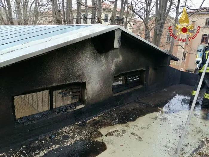 Incendio alla Biennale di Venezia, in fiamme il tetto del Padiglione Serbia: interventi difficili per il vento\n