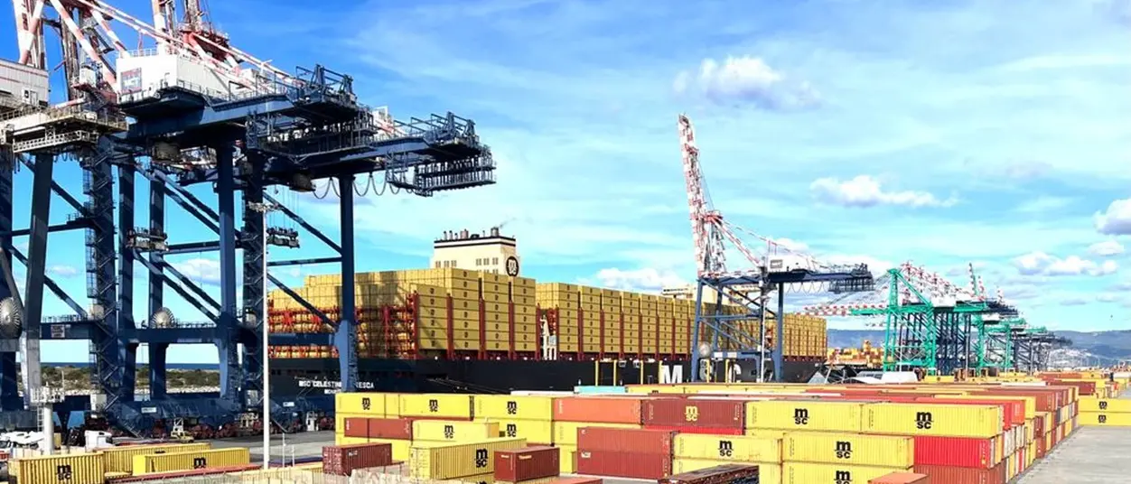 «Materiale bellico» per Israele al porto di Gioia Tauro, 8 container sotto ispezione: contengono barre d’acciaio\n