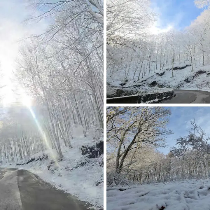 Serre vibonesi imbiancate dalla neve a pochi giorni dalla primavera: la magia di Monte Pecoraro\n