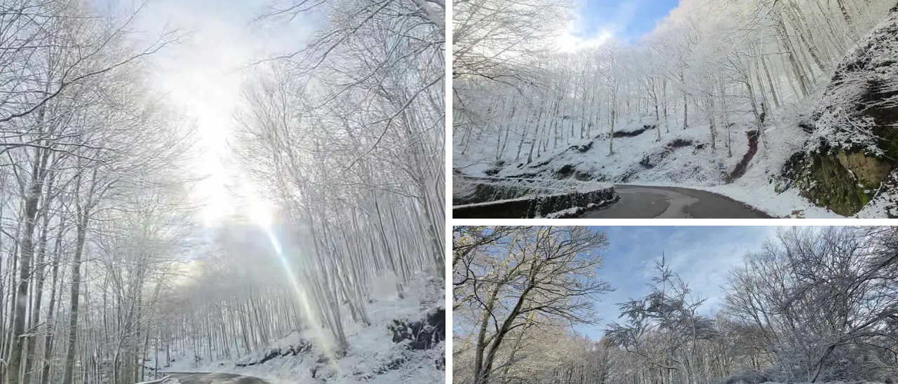 Serre vibonesi imbiancate dalla neve a pochi giorni dalla primavera: la magia di Monte Pecoraro\n