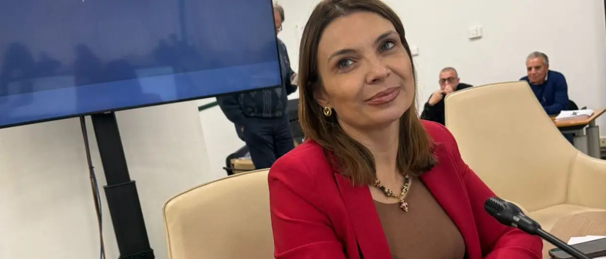 Madeo (Pd): «La Regione garantisca i Tfr agli ex dipendenti del Consorzio»\n