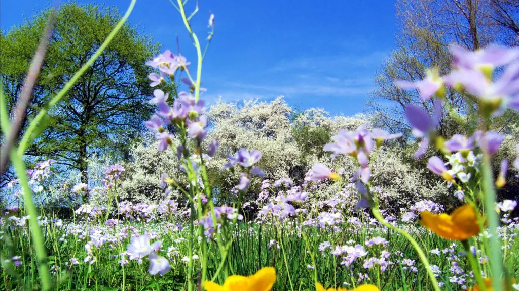 (Copyleft) 2006 Guido Gerding. License: GNU FDL