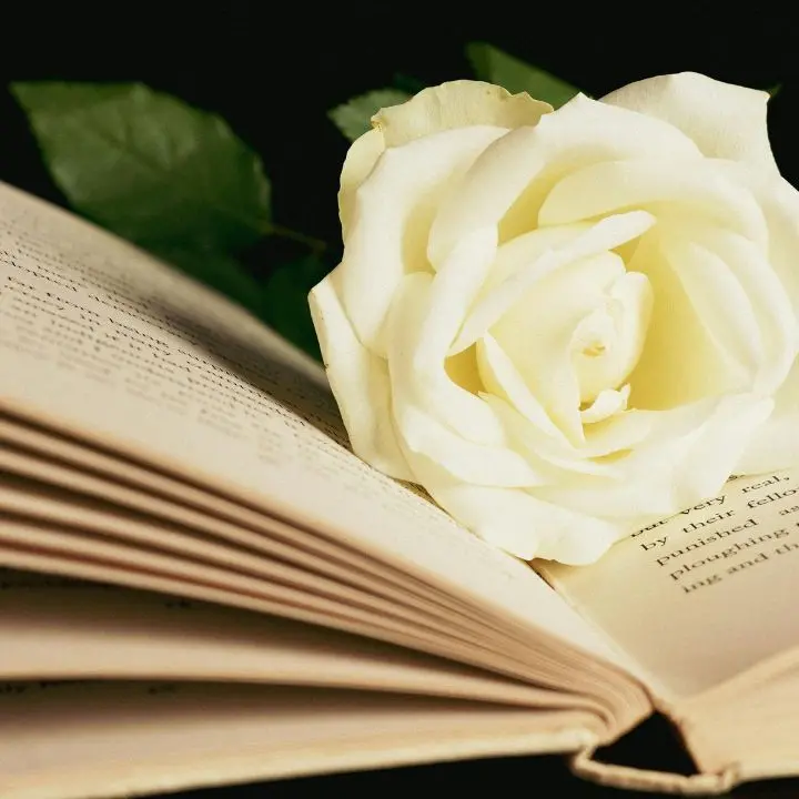 La poesia non è un post: perché nell'era della rapidità abbiamo ancora bisogno della parola che scava\n