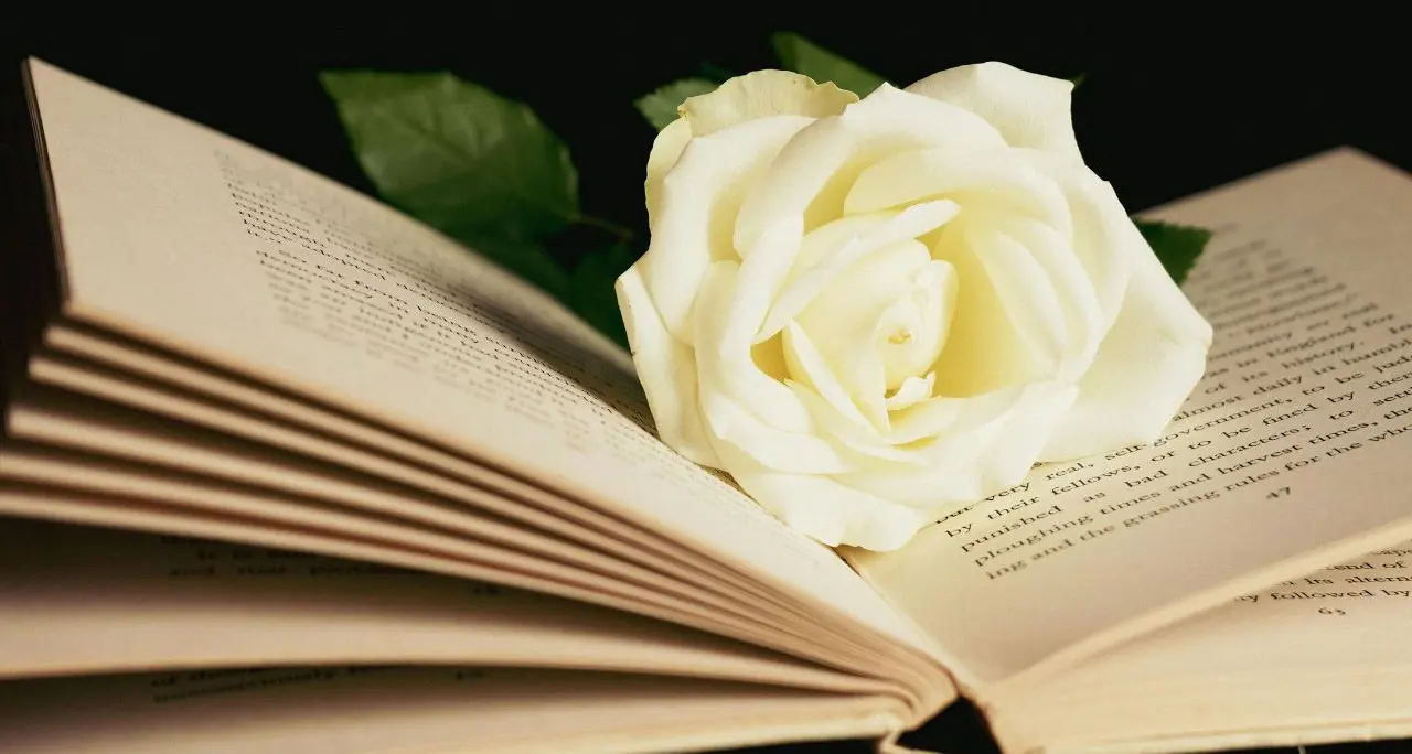 La poesia non è un post: perché nell'era della rapidità abbiamo ancora bisogno della parola che scava\n