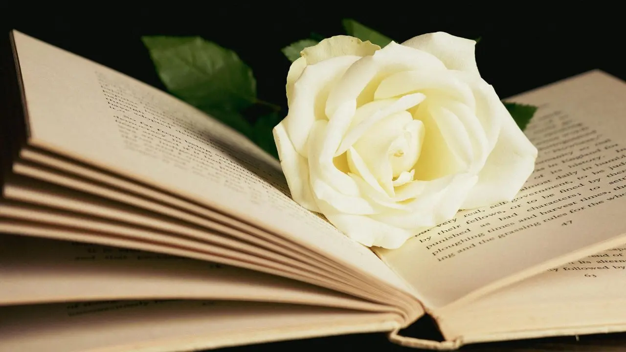 La poesia non è un post: perché nell'era della rapidità abbiamo ancora bisogno della parola che scava\n