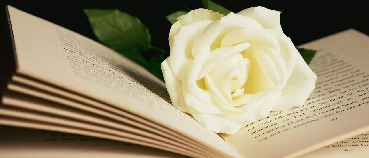 La poesia non è un post: perché nell'era della rapidità abbiamo ancora bisogno della parola che scava\n