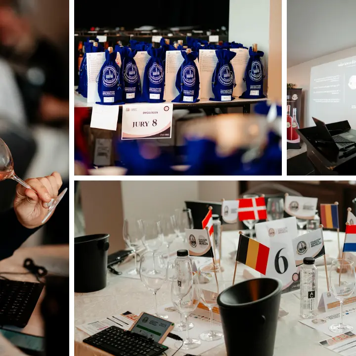 Il mondo del vino guarda Cirò: al via\u00A0la sessione rosati del Concours Mondial de Bruxelles. Gallo: «La Calabria consolida la sua immagine»\n