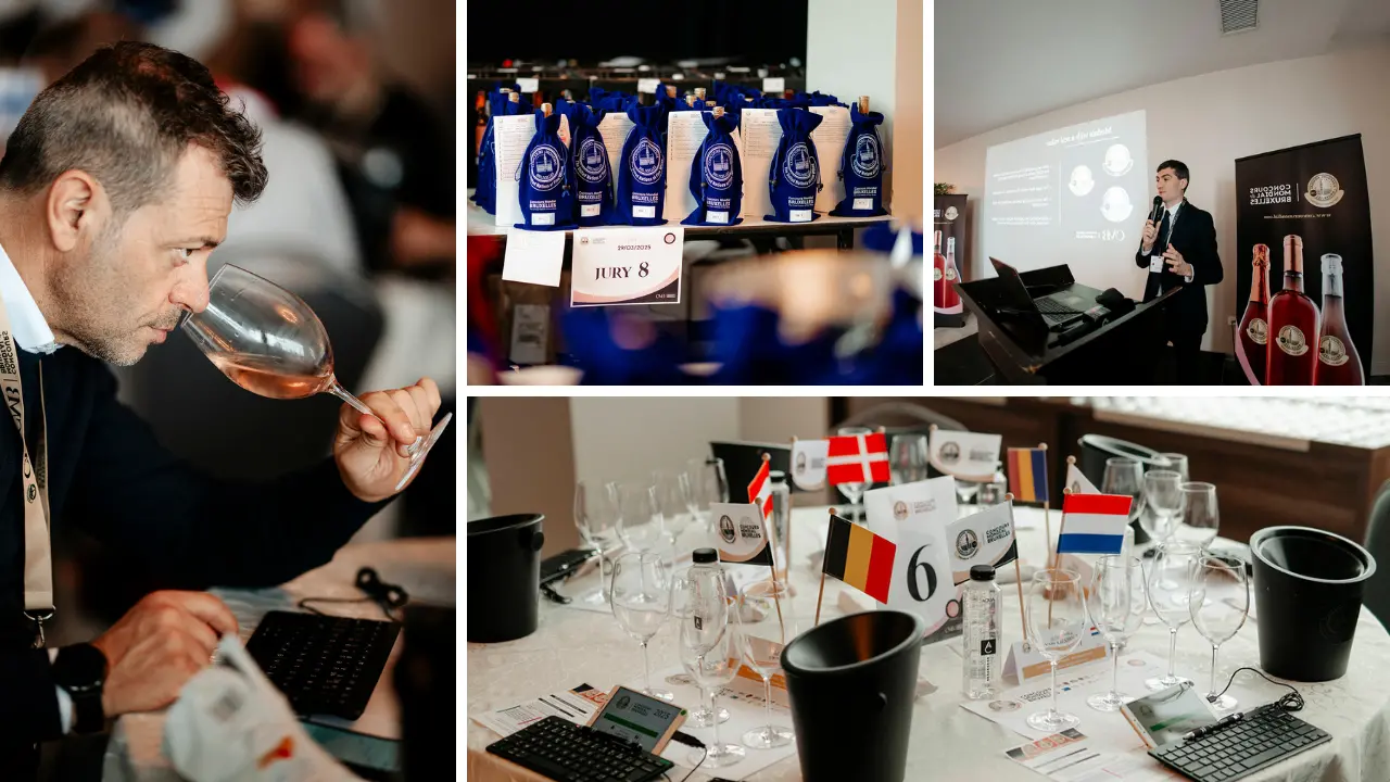 Il mondo del vino guarda Cirò: al via\u00A0la sessione rosati del Concours Mondial de Bruxelles. Gallo: «La Calabria consolida la sua immagine»\n