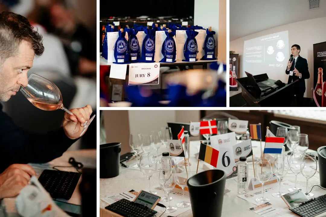 Il mondo del vino guarda Cirò: al via\u00A0la sessione rosati del Concours Mondial de Bruxelles. Gallo: «La Calabria consolida la sua immagine»\n