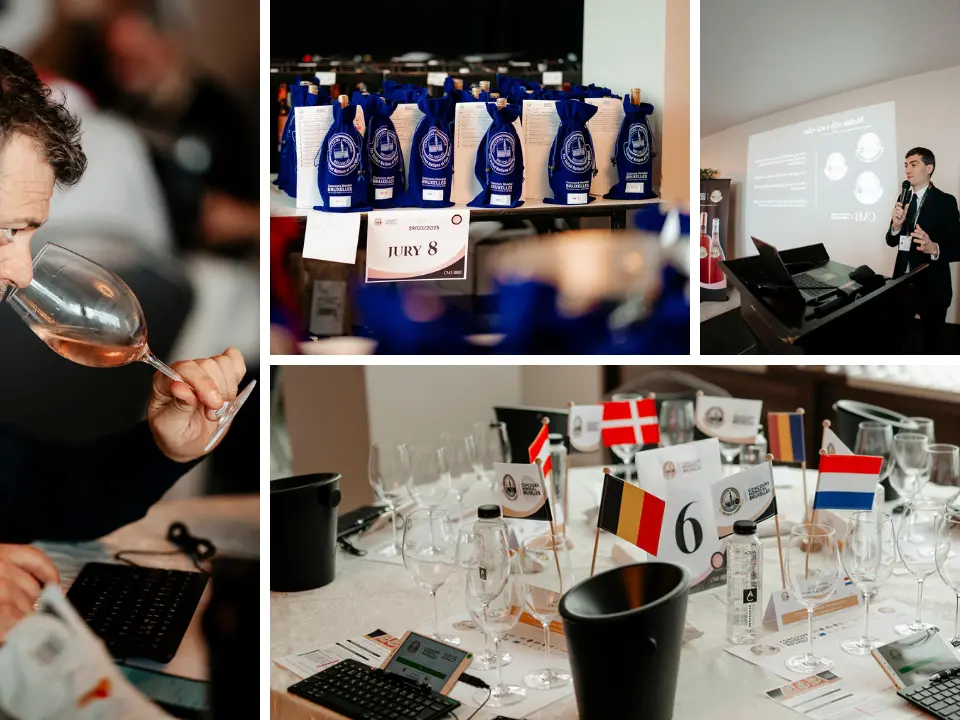 Il mondo del vino guarda Cirò: al via la sessione rosati del Concours Mondial de Bruxelles. Gallo: «La Calabria consolida la sua immagine»