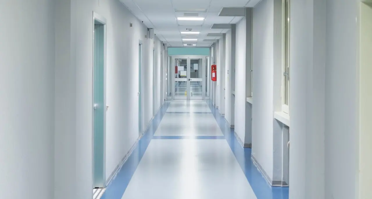 Epatite A in Calabria,\u00A0quattro i pazienti ricoverati a Catanzaro:\u00A0«Evitare pesce e cozze crude»\n