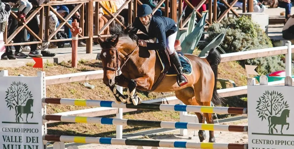 Catanzaro, domani il grande spettacolo dei cavalli al centro ippico “Valle dei Mulini”\n