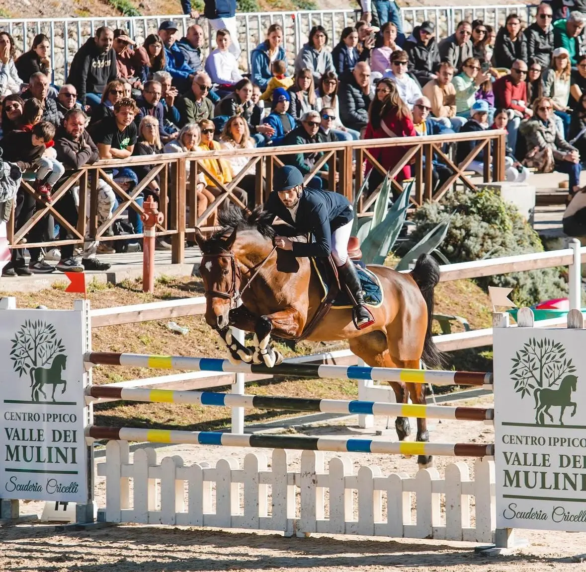 Catanzaro al galoppo, con il Circuito Masaf Sud arriva il grande spettacolo dei cavalli a Valle dei Mulini\n