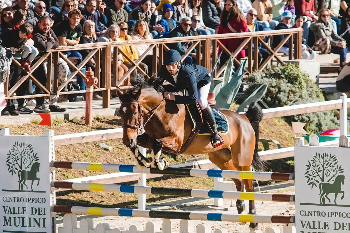 Catanzaro al galoppo, con il Circuito Masaf Sud arriva il grande spettacolo dei cavalli a Valle dei Mulini\n