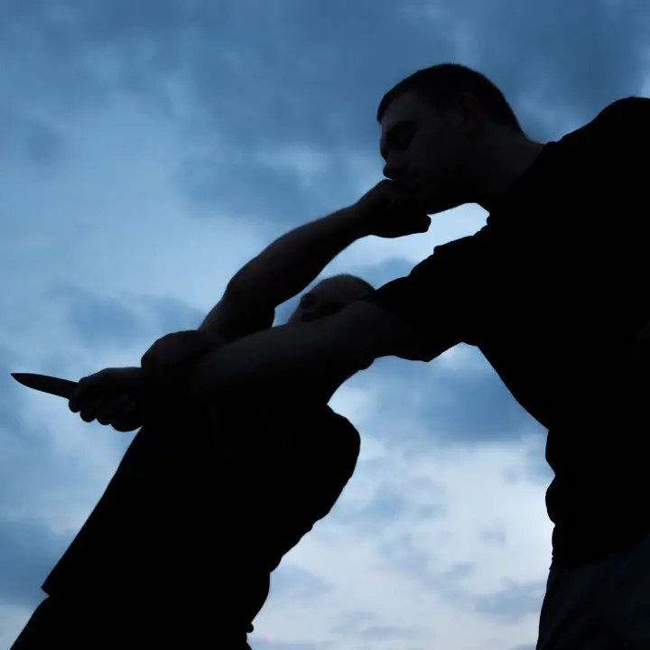 <p>Vibo Valentia, un uomo accoltellato al torace e al collo: a Soriano è caccia all’aggressore</p>