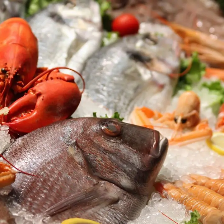 Maxi sequestro di pesce: 26 tonnellate senza tracciabilità tra Veneto e Lombardia\n