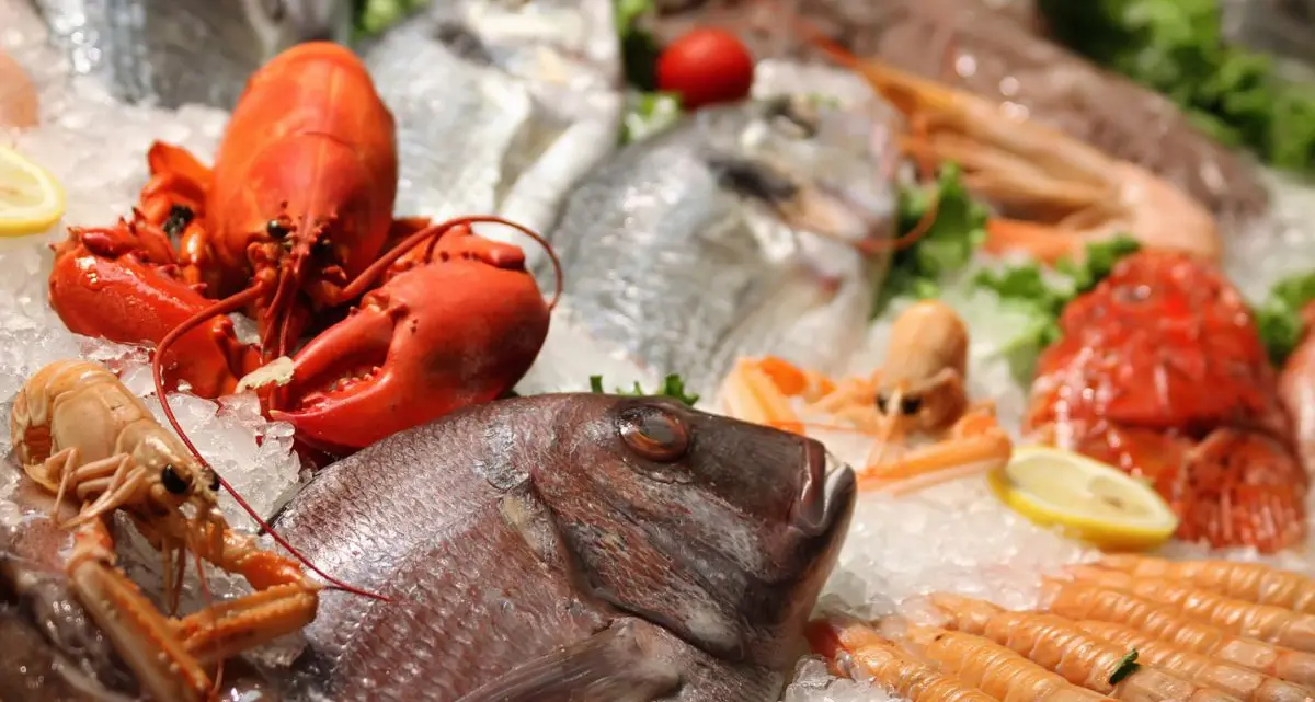 Maxi sequestro di pesce: 26 tonnellate senza tracciabilità tra Veneto e Lombardia\n