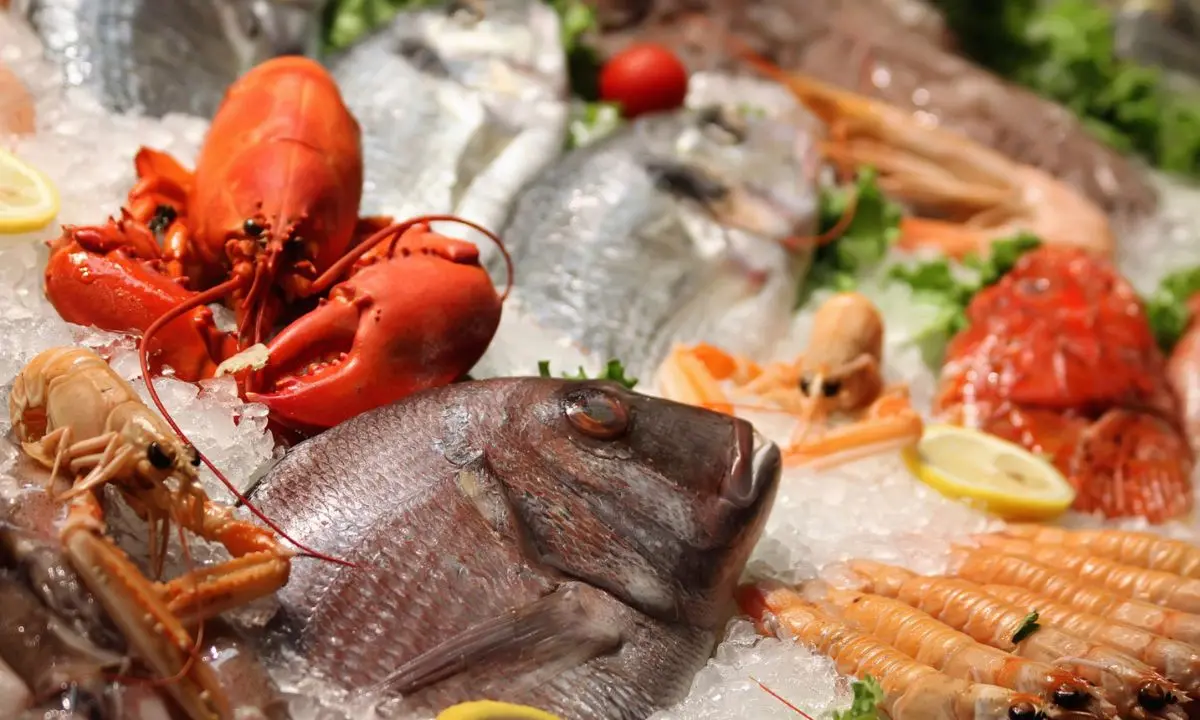 Maxi sequestro di pesce: 26 tonnellate senza tracciabilità tra Veneto e Lombardia\n