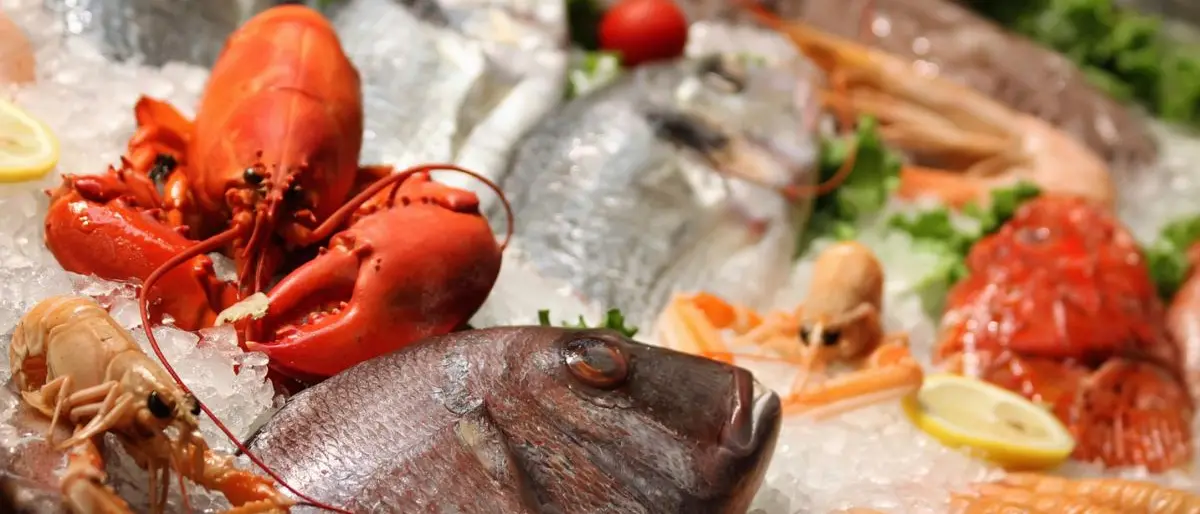 Maxi sequestro di pesce: 26 tonnellate senza tracciabilità tra Veneto e Lombardia\n