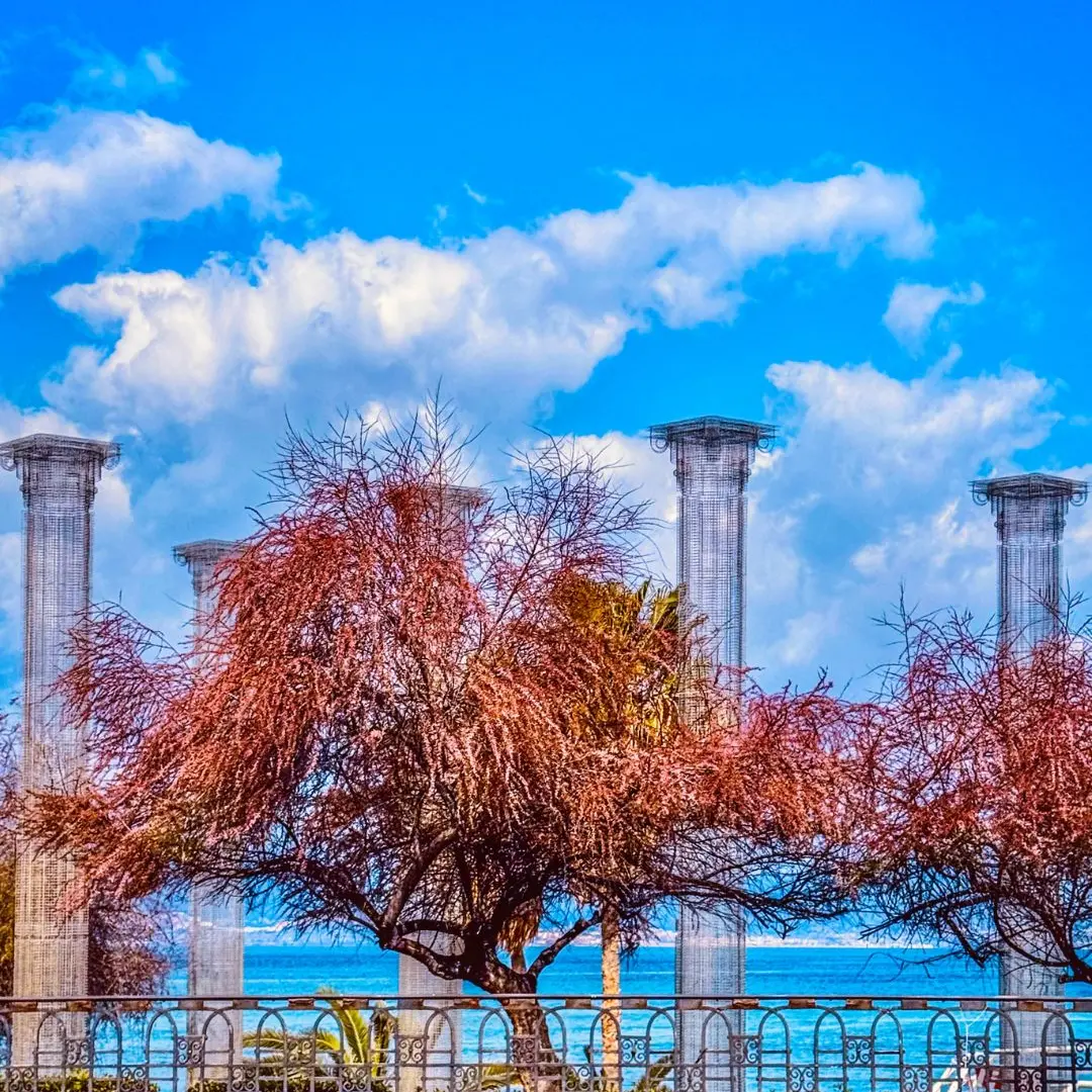 Sotto petali rosa, il mare sussurra\n