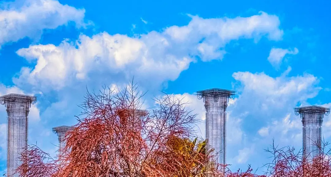 Sotto petali rosa, il mare sussurra\n