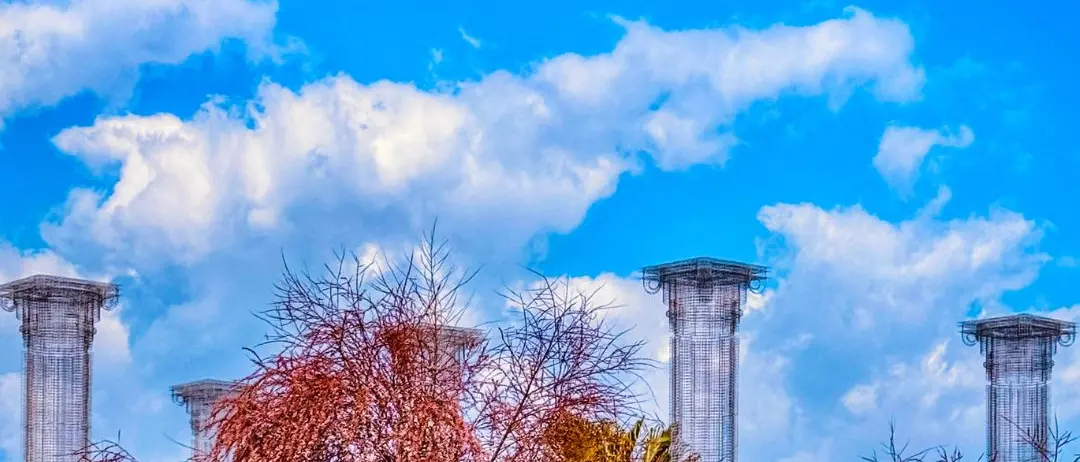 Sotto petali rosa, il mare sussurra\n