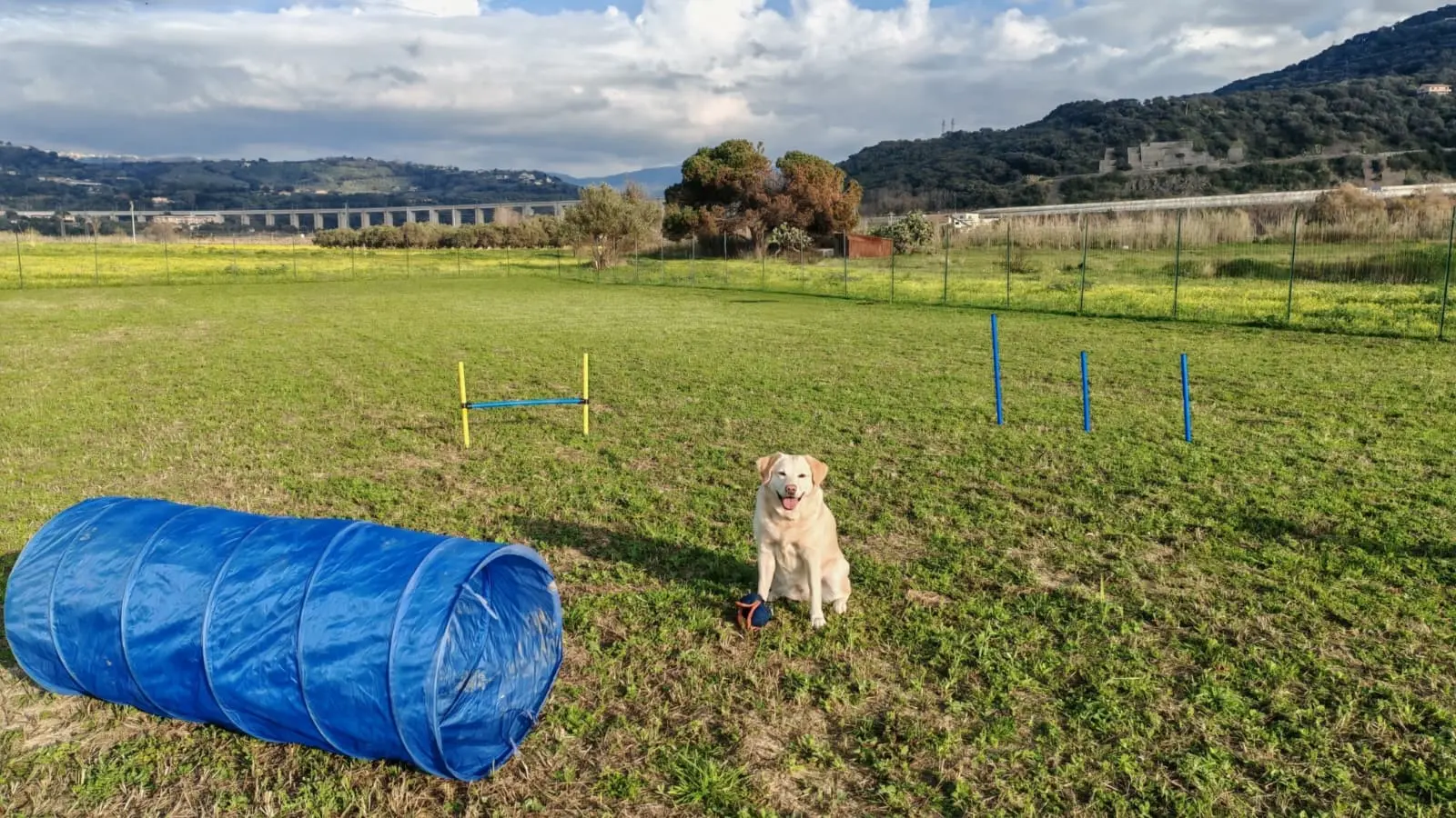 A Pizzo diventa realtà il centro di località Marinella per l’educazione e lo sgambamento dei cani