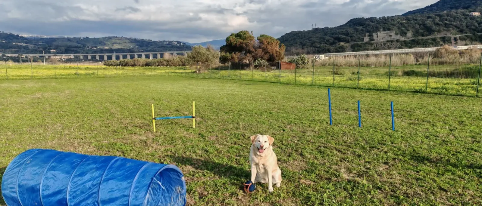 A Pizzo diventa realtà il centro di località Marinella per l’educazione e lo sgambamento dei cani