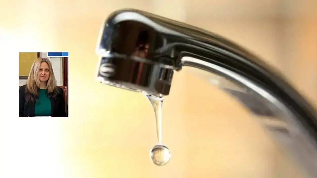 Giornata mondiale dell’acqua, Anna Parretta (Legambiente):\u00A0«In Calabria spreco idrico inaccettabile»\n
