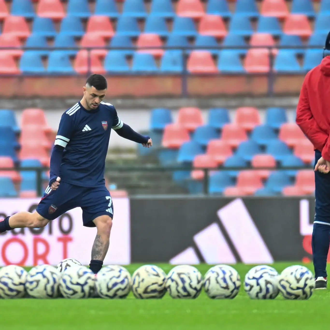 Cosenza, il primo “traguardo” è matematico: i lupi approdano ai playoff\n