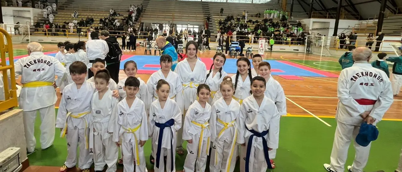 Il team Champions Taekwondo di Vibo protagonista al campionato regionale: ben 13\u00A0le medaglie conquistate al Palagallo di Catanzaro\n