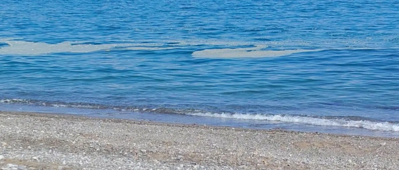 Rossano, chiazze in mare nelle vicinanze del depuratore: cittadini preoccupati\n