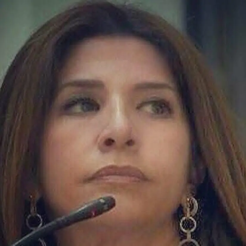 Reggio, Postorino (FI): «Città “esclusiva” con Peba\u00A0mai realizzato e Smart City incompiuta»\n